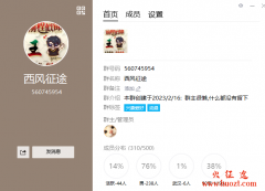 新开征途私服西风征途经典160纯净绿装版